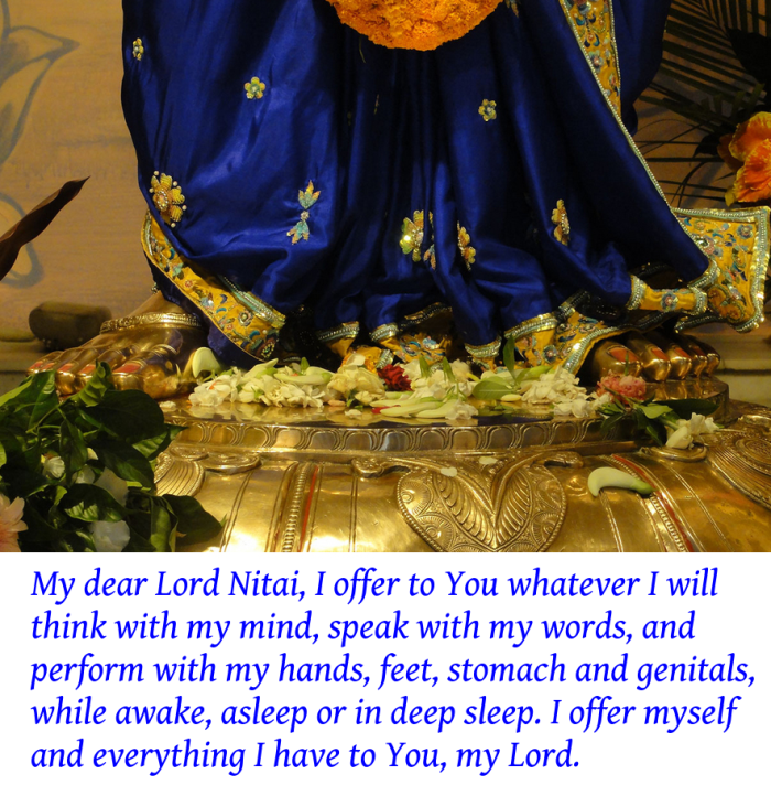 Surrender to Nitai every day